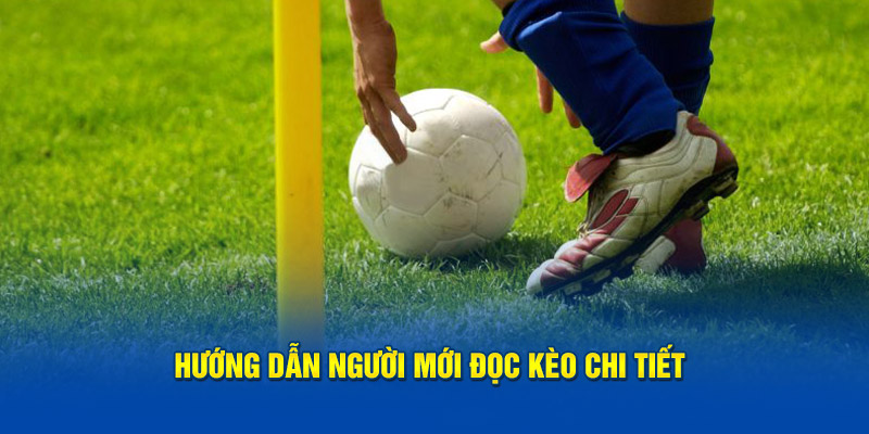 Hướng dẫn người mới đọc kèo chi tiết