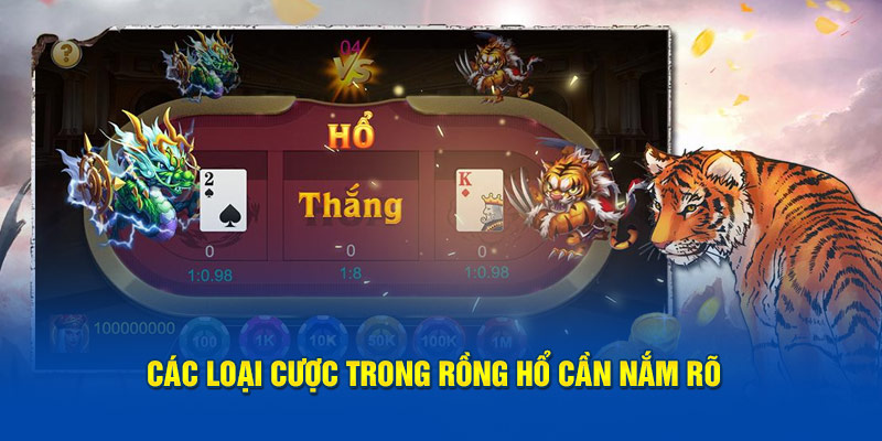 Các loại cược trong Rồng Hổ cần nắm rõ