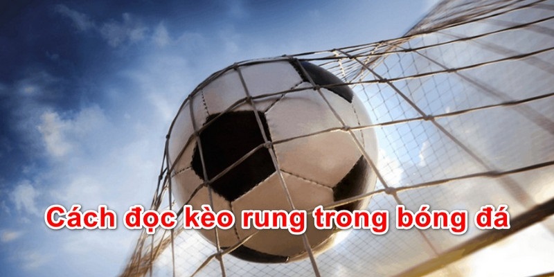 cách đọc kèo rung hiệu quả