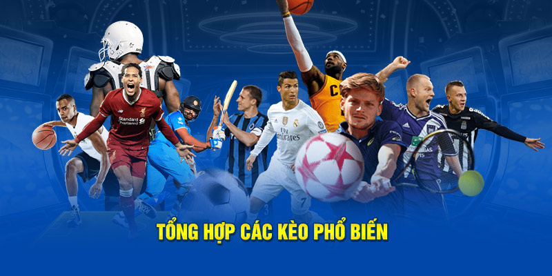 Tổng hợp các kèo phổ biến